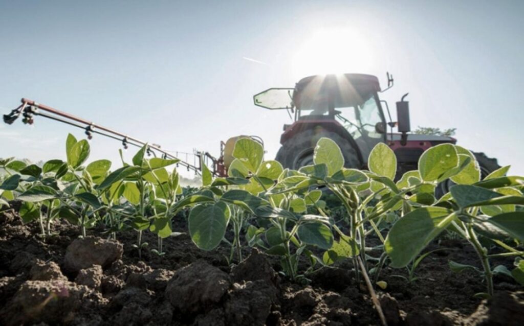 Día del Agricultor: por qué se celebra el 8 de septiembre en Argentina