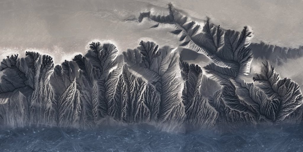 ¿Cuáles son las 5 mejores fotos panorámicas del año?