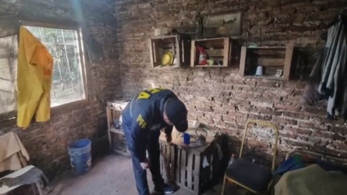 rescataron a siete personas que eran sometidas a trabajo esclavo en campos de ezeiza y cañuelas