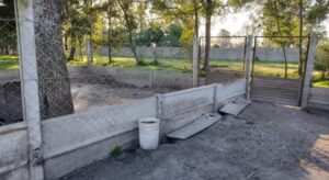 Arreglo de caniles en el refugio municipal