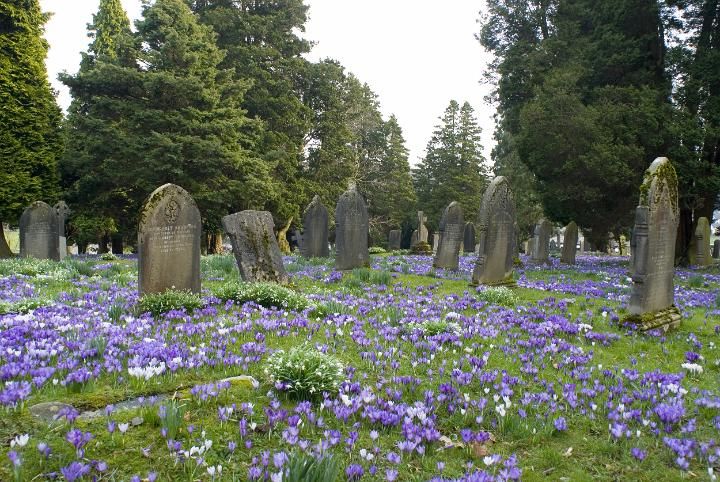 cementerio: ¿cuál es el origen de la palabra?