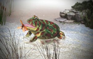 San Pedro: hallan el cráneo fosilizado de una especie desconocida de anfibio vinculada a escuerzos brasileños