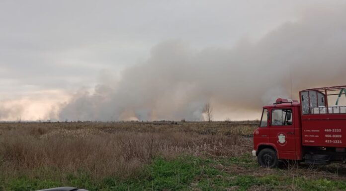 se mantiene activo un incendio en la reserva natural punta lara y secco aseguró que “fue intencional”