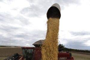 Autorizan prórroga por 240 días para exportadores que ya estaban en el dólar agro