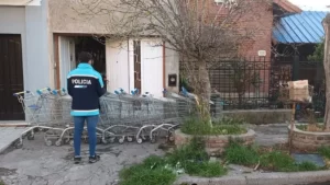 Bahía Blanca: le allanaron la casa porque tenía 13 changuitos del supermercado