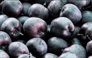 Cómo es la manzana negra que se cultiva en el Tíbet y por qué es tan cara