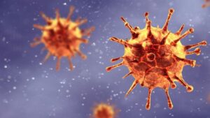 Coronavirus: el ministerio de Salud desmintió información falsa sobre la variante XBB