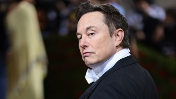 Elon Musk planea echar a la mitad de los empleados de Twitter