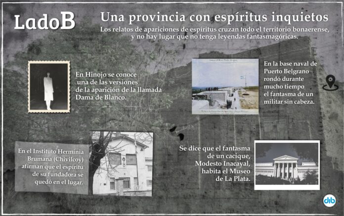 Infografía: DIB