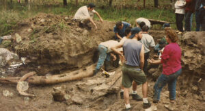 La ballena de Maschwitz: el hallazgo que revolucionó a un pueblo hace 30 años