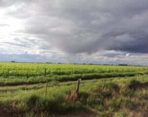Las condiciones de "El Niño" ya están en la región y se espera una primavera lluviosa