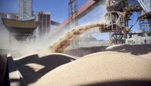 Por falta de reservas, confirman que el dólar soja se extenderá hasta el 25 de octubre