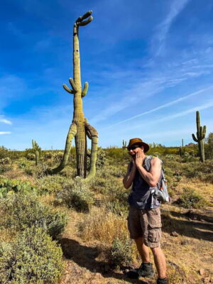 Saguaro, la especie del extraño cactus con forma de Tiranosaurio Rex