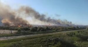 San Clemente: varias dotaciones de bomberos sofocaron un importante incendio de pastizales