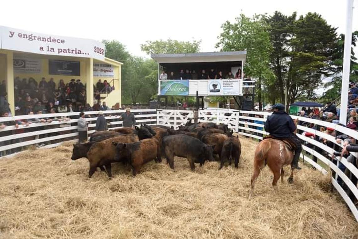 Dolores: cómo continúa la XXIV Edición de la Expo Rural