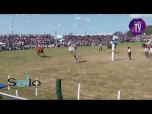 Fiesta del Talar 2023 - Día Viernes Resumen