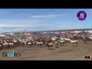 Fiesta del Talar 2023 - Entrevero de tropillas ESPECTACULAR!!!