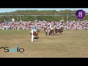 Fiesta del Talar 2023 - Sábado
