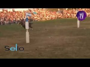 Fiesta del Talar - Final de la prueba de riendas con victoria para Fabian Puyei.