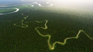 ¿Sabías que el río Amazonas tiene ocho récords mundiales? 