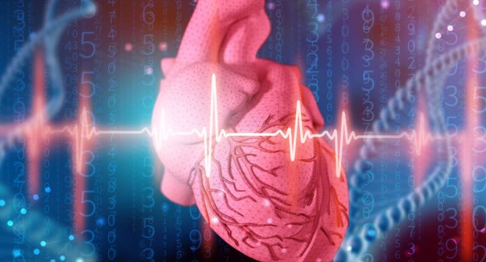 Testeos genéticos: ¿se puede adelantar un diagnóstico de enfermedad cardiovascular?