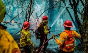 Incendio entre General Pueyrredon y Balcarce: bomberos trabajan en la zona
