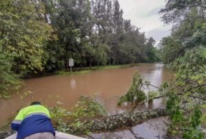 La Provincia monitorea la zona de islas del Delta por la crecida del Paraná