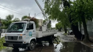 La tormenta dejó árboles caídos, calles anegadas y varios barrios sin luz en la provincia