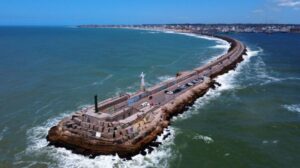 Mar del Plata: luego del brote de gripe aviar en lobos marinos reabrió el paseo de la Escollera Sur