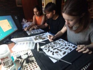 San Pedro: recuperan ramas y cortezas de árboles de más de mil años de antigüedad