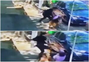 Una mujer atacó a palazos y patadas a un hombre que le pidió que levantara la caca del perro