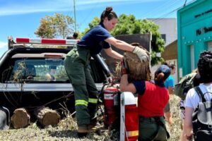 Bahía Blanca: la campaña solidaria impulsada por Ginóbili ya recaudó 5 millones de dólares