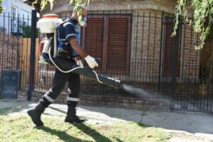 El Ministerio de Salud nacional pide extremar “medidas de prevención” por el dengue