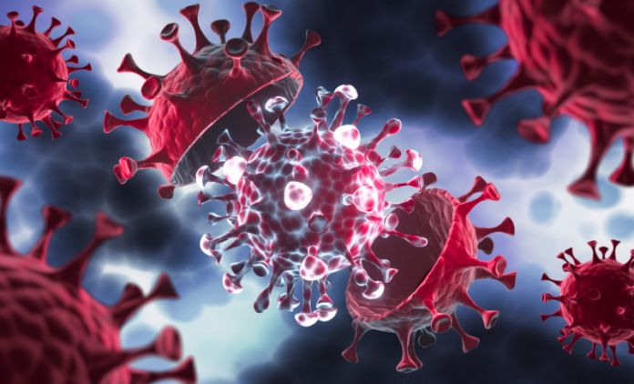 La OMS considera "de interés" a la nueva variante JN.1 del coronavirus por su rápida propagación