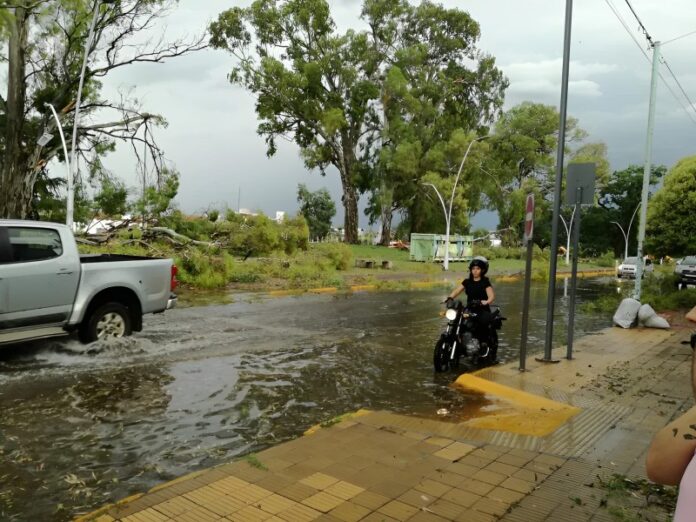 Calles anegadas, techos volados y árboles caídos fueron algunas de las consecuencias del temporal del martes. (El Popular)