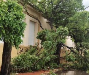 Olavarría declaró la emergencia por un temporal que dejó sin luz ni agua a la ciudad