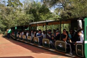¿Sabías que en Misiones hay un tren ecológico que se sumerge en la selva 