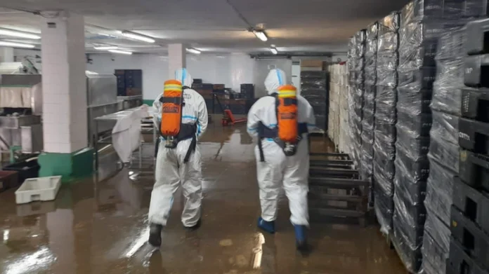 La inspección de la planta procesadora. (0223)