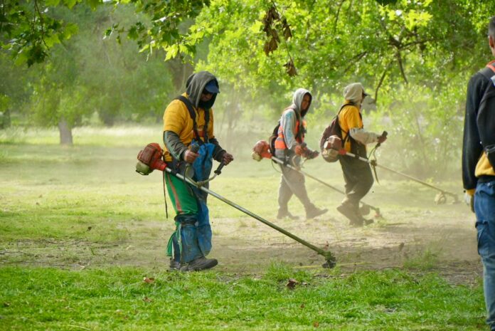 Ante la proliferación de mosquitos, La Plata produce su propio repelente