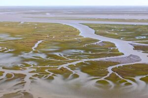Bahía Blanca: Impresionante derrame de petróleo genera un problema ambiental en la ciudad