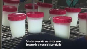 Científicos del INTA Castelar desarrollaron un yogur con el 50% de Omega-3 recomendado a diario