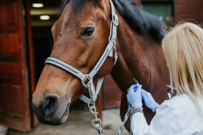 Confirmaron en Santa Fe el primer muerto por encefalitis equina en el país