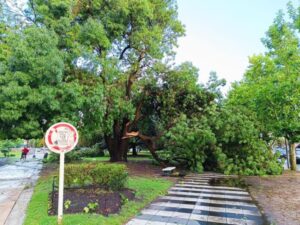 El temporal de viento, lluvia y granizo que azotó Miramar provocó la muerte de un joven de 18 años