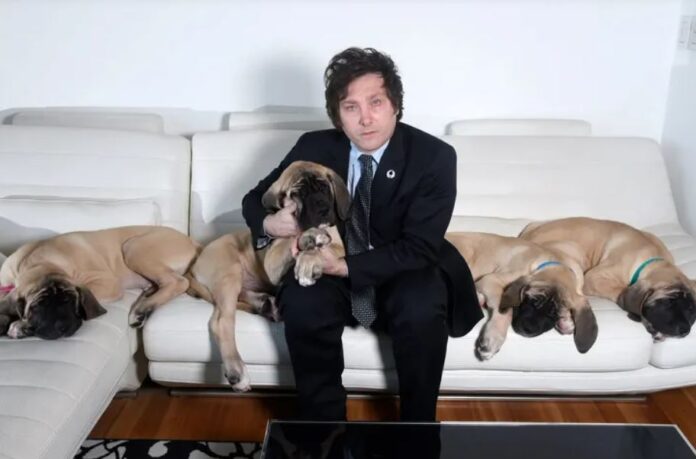 Javier Milei se muda a Olivos este lunes pero no podrá llevar a sus perros