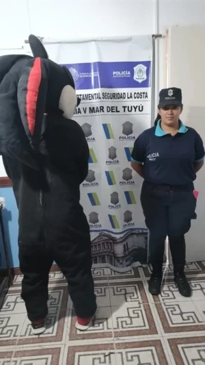 Mar del Tuyú: disfrazado de “Sonic”, lo acusan de abusar de una menor en el "trencito de la alegría"
