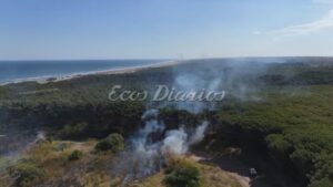 Necochea: varios incendios tuvieron en vilo a dotaciones de bomberos de la región