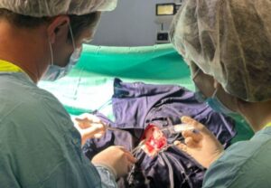 Operación inédita: le sacaron un tumor cerebral a un adolescente y lo mantuvieron despierto