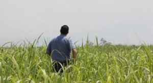 Organizan el 3º encuentro regional para productores y empresas agropecuarias