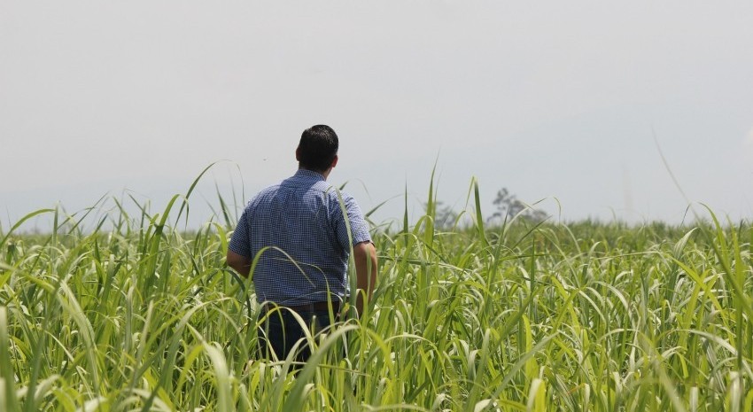 Organizan el 3º encuentro regional para productores y empresas agropecuarias