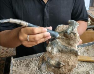 San Pedro: hallan mano y pie en posición de marcha de un armadillo de más de medio millón de años